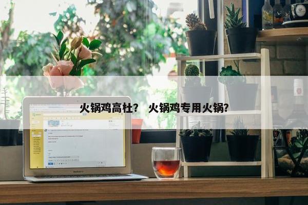火锅鸡高杜？ 火锅鸡专用火锅？