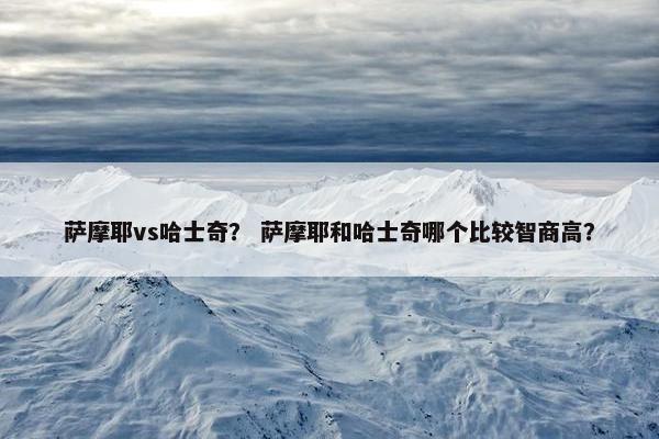 萨摩耶vs哈士奇？ 萨摩耶和哈士奇哪个比较智商高？