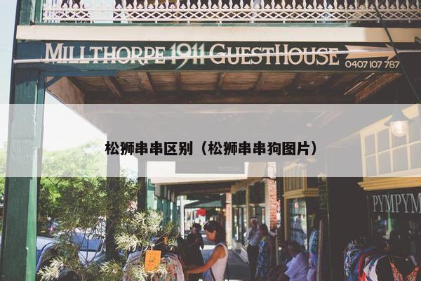 松狮串串区别（松狮串串狗图片）