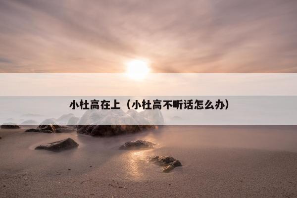 小杜高在上（小杜高不听话怎么办）