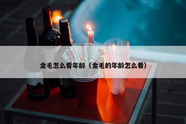 金毛怎么看年龄（金毛的年龄怎么看）