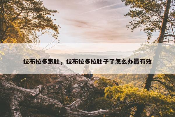 拉布拉多跑肚，拉布拉多拉肚子了怎么办最有效