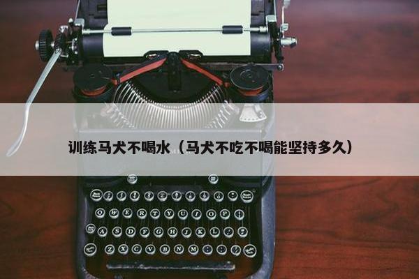 训练马犬不喝水（马犬不吃不喝能坚持多久）