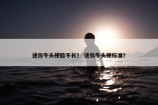 迷你牛头梗脸不长？ 迷你牛头梗标准？