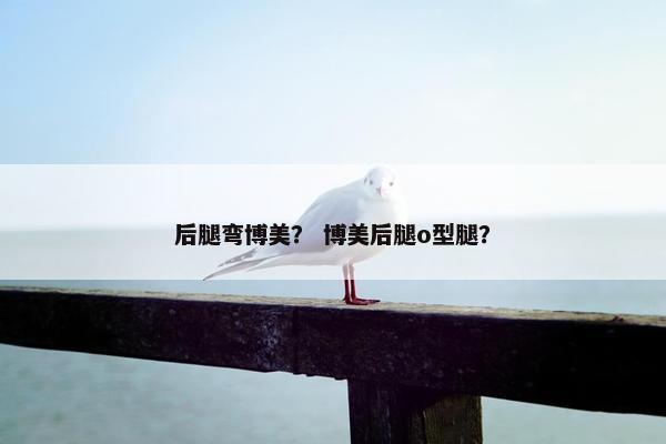 后腿弯博美？ 博美后腿o型腿？