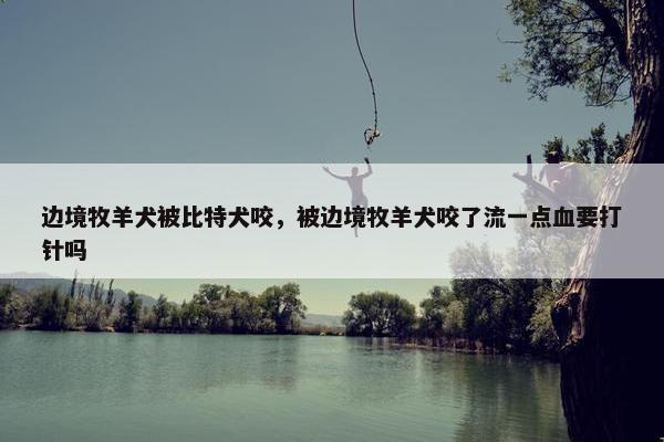 边境牧羊犬被比特犬咬，被边境牧羊犬咬了流一点血要打针吗