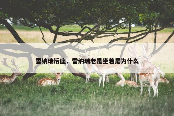 雪纳瑞后座，雪纳瑞老是坐着是为什么