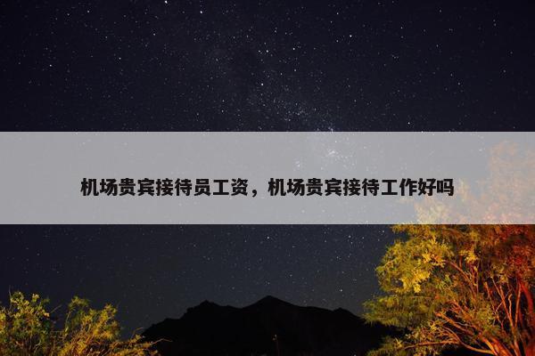 机场贵宾接待员工资，机场贵宾接待工作好吗