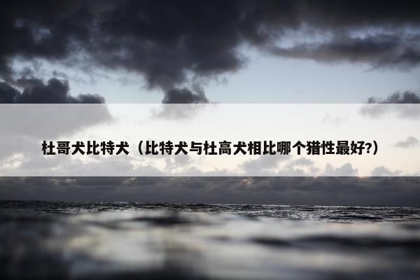 杜哥犬比特犬（比特犬与杜高犬相比哪个猎性最好?）