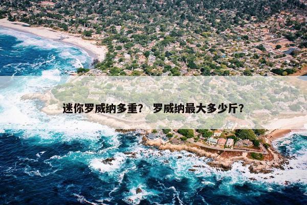 迷你罗威纳多重？ 罗威纳最大多少斤？