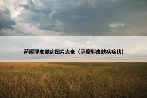 萨摩耶皮肤病图片大全（萨摩耶皮肤病症状）