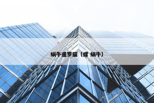 蜗牛暹罗猫（螺 蜗牛）