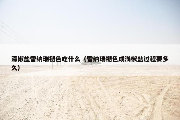 深椒盐雪纳瑞褪色吃什么（雪纳瑞褪色成浅椒盐过程要多久）