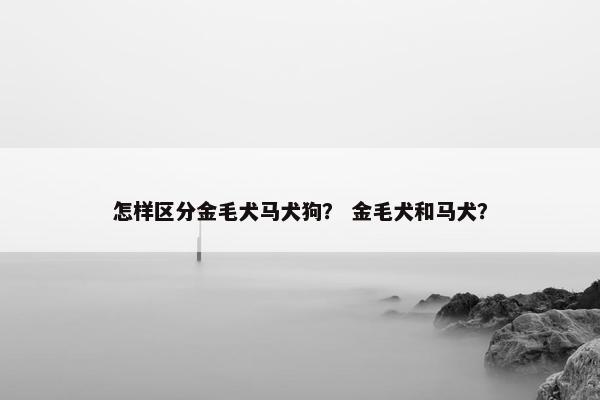 怎样区分金毛犬马犬狗？ 金毛犬和马犬？
