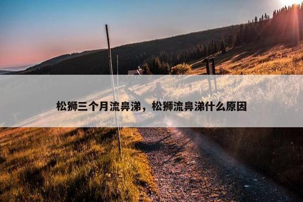 松狮三个月流鼻涕，松狮流鼻涕什么原因