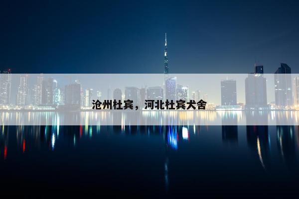 沧州杜宾，河北杜宾犬舍