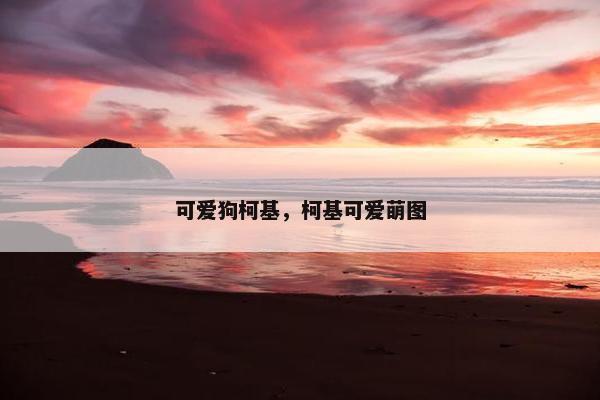 可爱狗柯基，柯基可爱萌图