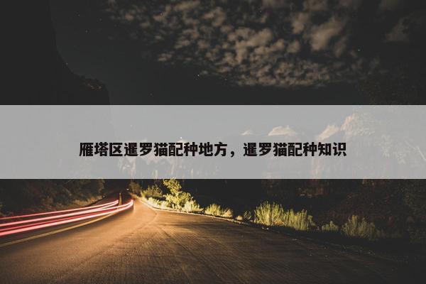 雁塔区暹罗猫配种地方，暹罗猫配种知识