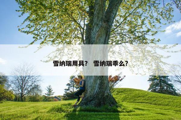雪纳瑞用具？ 雪纳瑞乖么？