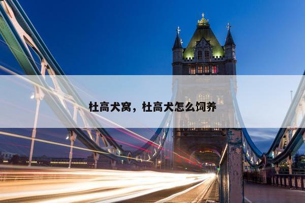 杜高犬窝，杜高犬怎么饲养
