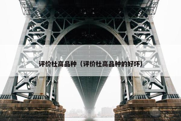 评价杜高品种（评价杜高品种的好坏）