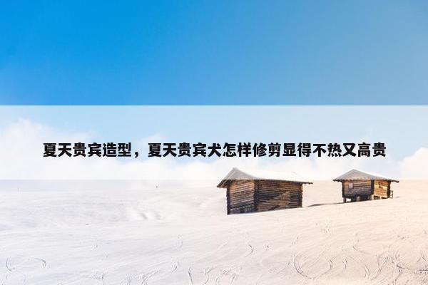 夏天贵宾造型，夏天贵宾犬怎样修剪显得不热又高贵