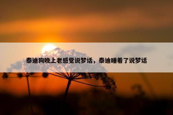 泰迪狗晚上老感觉说梦话，泰迪睡着了说梦话