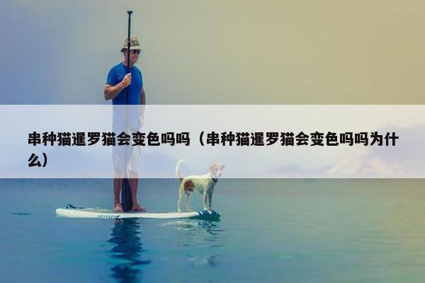 串种猫暹罗猫会变色吗吗（串种猫暹罗猫会变色吗吗为什么）