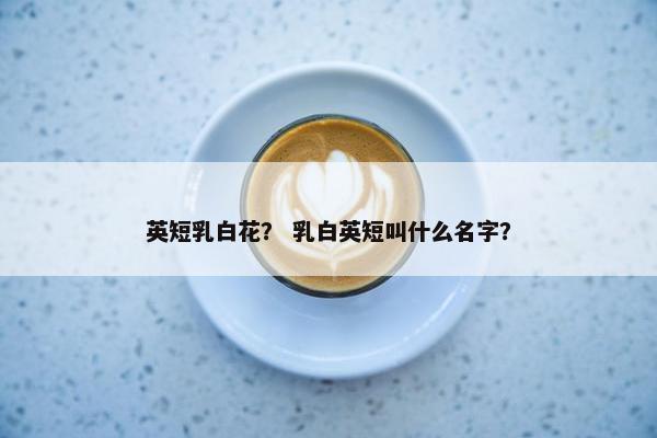 英短乳白花？ 乳白英短叫什么名字？