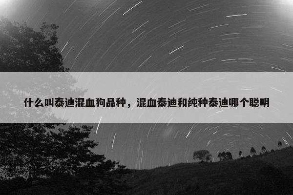 什么叫泰迪混血狗品种，混血泰迪和纯种泰迪哪个聪明