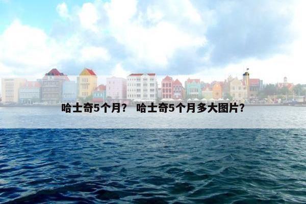 哈士奇5个月？ 哈士奇5个月多大图片？