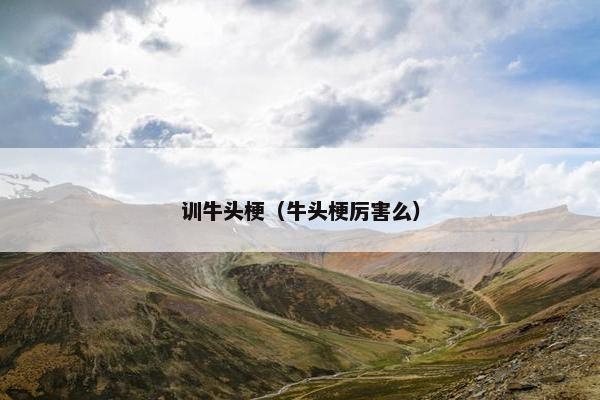 训牛头梗（牛头梗厉害么）