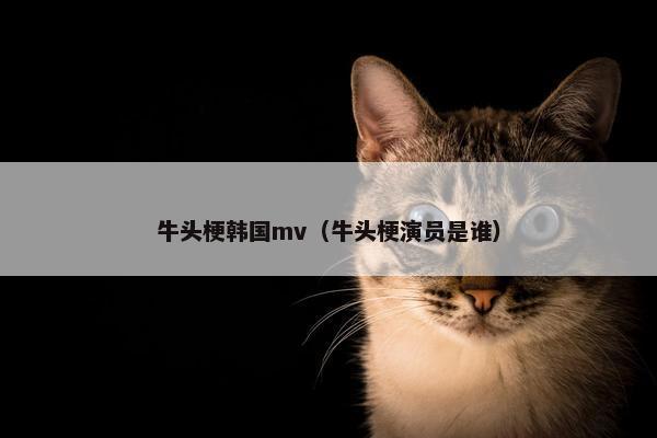 牛头梗韩国mv（牛头梗演员是谁）