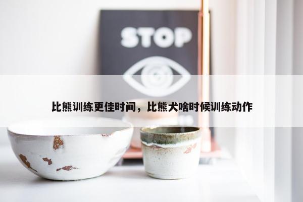 比熊训练更佳时间，比熊犬啥时候训练动作