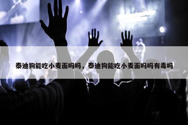 泰迪狗能吃小麦面吗吗，泰迪狗能吃小麦面吗吗有毒吗