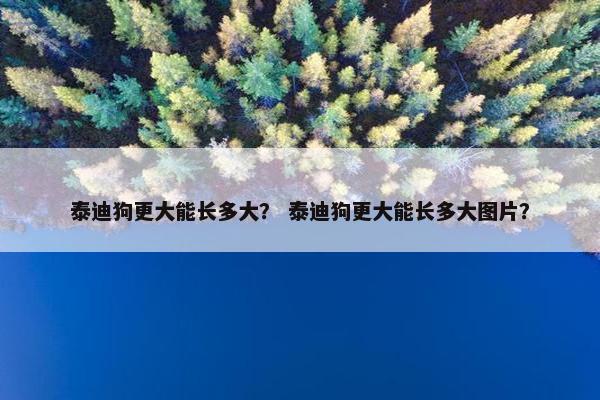 泰迪狗更大能长多大？ 泰迪狗更大能长多大图片？