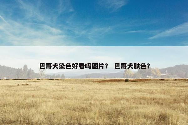 巴哥犬染色好看吗图片？ 巴哥犬肤色？