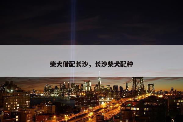 柴犬借配长沙，长沙柴犬配种