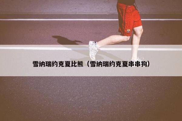 雪纳瑞约克夏比熊（雪纳瑞约克夏串串狗）