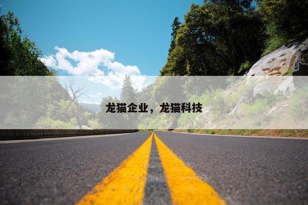龙猫企业，龙猫科技