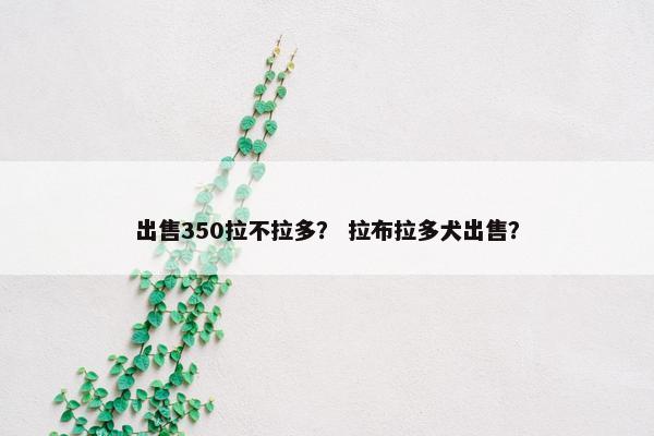 出售350拉不拉多？ 拉布拉多犬出售？