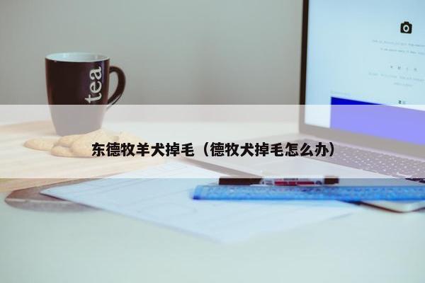 东德牧羊犬掉毛（德牧犬掉毛怎么办）