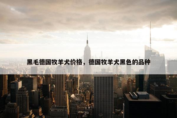 黑毛德国牧羊犬价格，德国牧羊犬黑色的品种