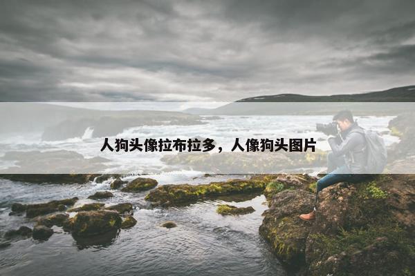人狗头像拉布拉多，人像狗头图片
