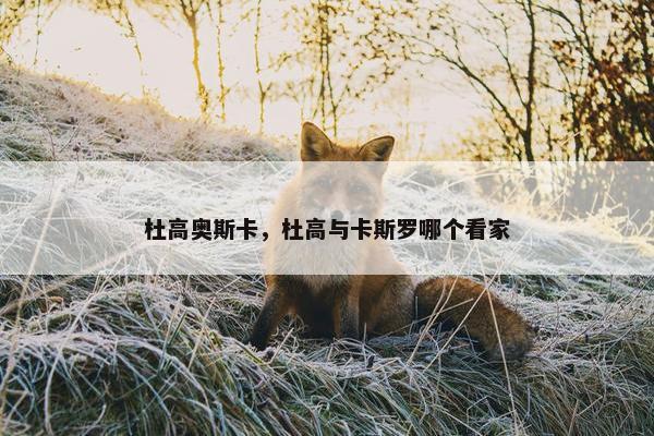 杜高奥斯卡，杜高与卡斯罗哪个看家