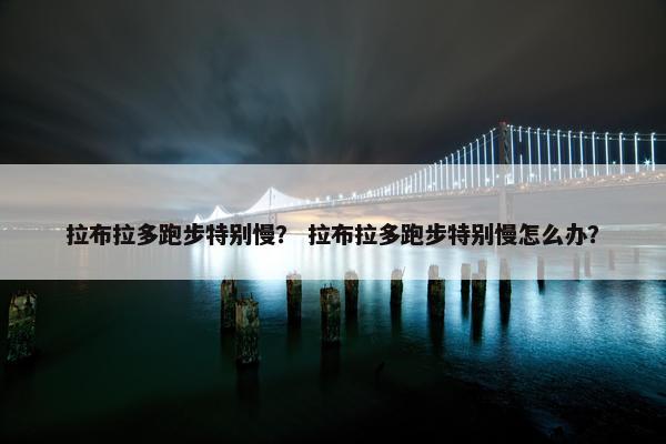 拉布拉多跑步特别慢？ 拉布拉多跑步特别慢怎么办？