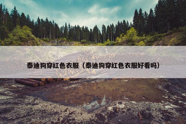泰迪狗穿红色衣服（泰迪狗穿红色衣服好看吗）