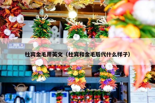 杜宾金毛用英文（杜宾和金毛后代什么样子）