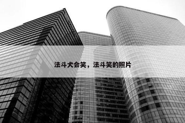 法斗犬会笑，法斗笑的照片