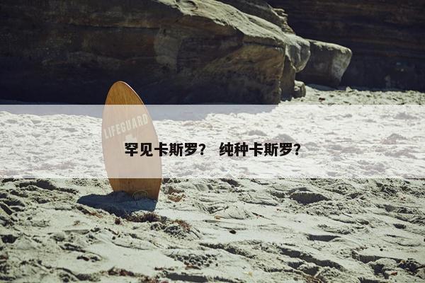 罕见卡斯罗？ 纯种卡斯罗？